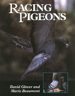 Racing Pigeons (Hardcover)