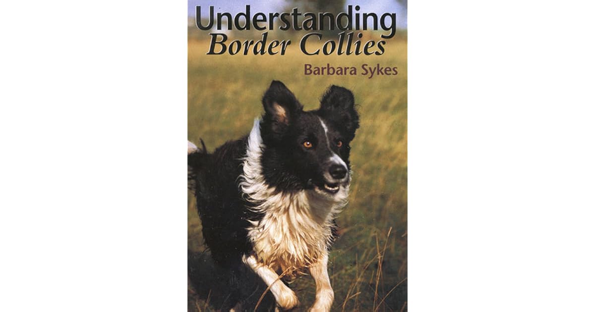 Understanding Border Collies by Barbara Sykes