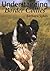 Understanding Border Collies by Barbara Sykes