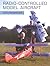 Radio-Controlled Model Aircraft by David Boddington
