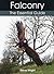 Falconry: The Essential Guide