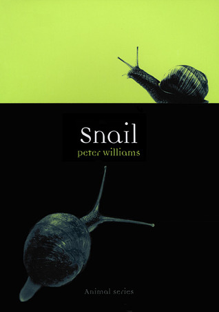 Snail (Animal)