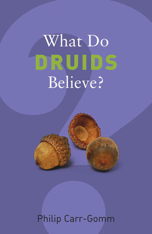 What Do Druids Believe? (Paperback)