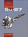 Sukhoi Su-27 (Famous Russian Aircraft)