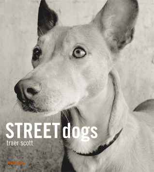 Street Dogs (Hardcover)