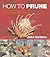 How to Prune: Techniques an...