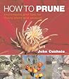 How to Prune: Techniques and Tips for Every Plant and Season