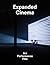 Expanded Cinema. Art Perfor...