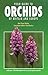 Field Guide to Orchids of Britain and Europe