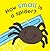 How Small Is a Spider? (Touch-and-Feel Little Learners)