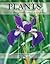 Plants: Their Use, Management, Cultivation and Biology―A Comprehensive Guide