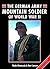 German Mountain Army Soldier of WWII