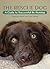The Rescue Dog: A Guide to ...