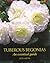 Tuberous Begonias: An Essential Guide