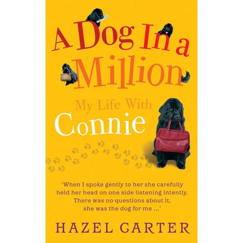 A Dog In A Million My Life With Connie By Hazel Carter