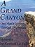 A Grand Canyon, One Man's Journey through Depression