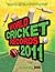 World Cricket Records 2011
