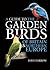 A Guide to the Garden Birds of Britain & Northern Europe by Dave Farrow