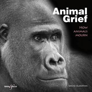 Animal Grief: How animals mourn (Hardcover)