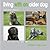 Living with an Older Dog: Gentle Dog Care