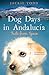 Dog Days in Andalucía: Tails from Spain