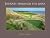 Journey Through the Links
