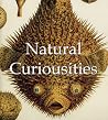 Natural Curiousities (Mega Square Collection) Natural Curiousities (Mega Square Collection)
