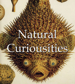 Natural Curiousities (Mega Square Collection)