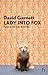 Lady Into Fox