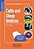 Cattle and Sheep Medicine: Self-Assessment Color Review (Veterinary Self-Assessment Color Review Series)