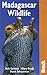 Madagascar Wildlife