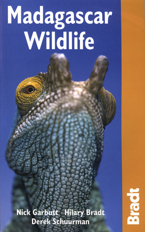 Madagascar Wildlife (Paperback)