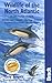 Wildlife of the North Atlantic: A Cruising Guide (Bradt Wildlife Guides)