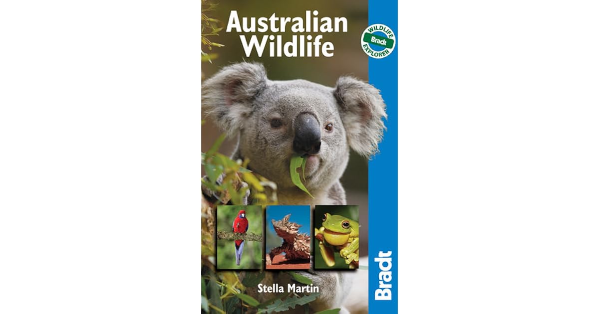 Australian Wildlife Wildlife Explorer by Stella Martin