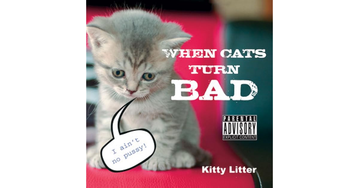 When bad kitties turn good essay 07 image