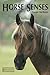 Horse Senses