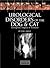 Urological Disorders of the...