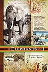 The Elephants and I: Pursuing a Dream In Troubled Zimbabwe