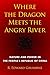 Where the Dragon Meets the Angry River by R. Edward Grumbine