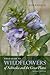 Field Guide to Wildflowers of Nebraska and the Great Plains