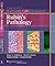 Lippincott Illustrated Q & A Review of Rubin's Pathology by Bruce A. Fenderson