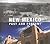 New Mexico Past and Present by Sandra Forty New Mexico Past and Present by Sandra Forty