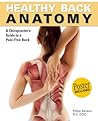 Healthy Back Anatomy
