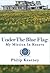 Under the Blue Flag: My Mis...