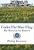 Under the Blue Flag: My Mission in Kosovo