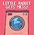 Little Rabbit Gets Messy (Anna series)