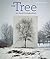 The Tree in Photographs