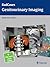 Radcases Genitourinary Imaging (Radcases Plus Q&A)