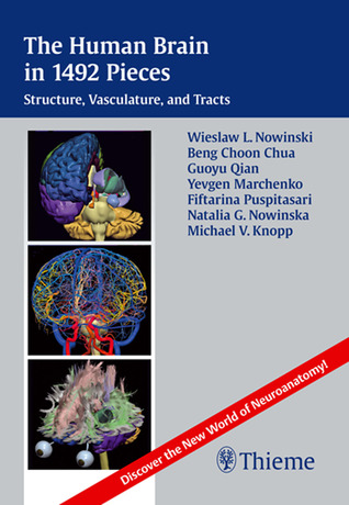 The Human Brain in 1492 Pieces: Structure, Vasculature, and Tracts