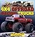 4x4 Offroad Racing Trucks by Bill Holder